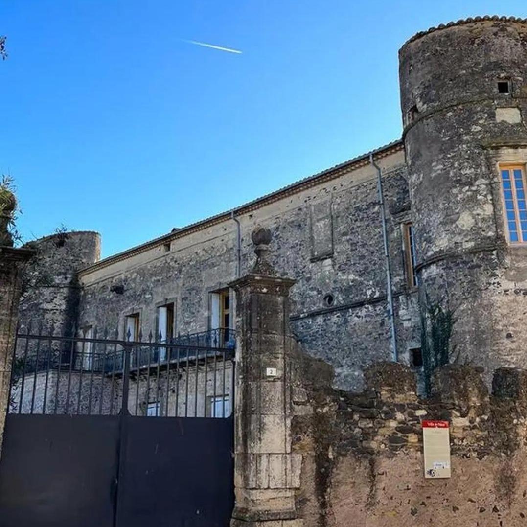 Gite En Face Du Chateau De Nizas, 4 Chambres D'Hotes Et 1 Appartement Familial Avec 2 Chambres Extérieur photo